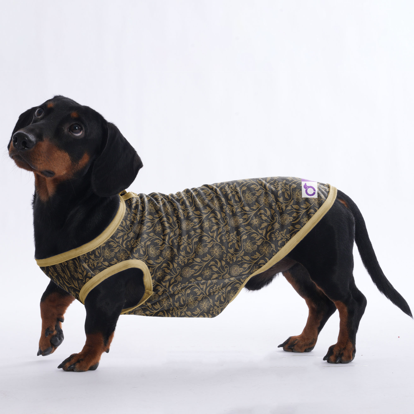 Toby - Shirt for Dachshunds