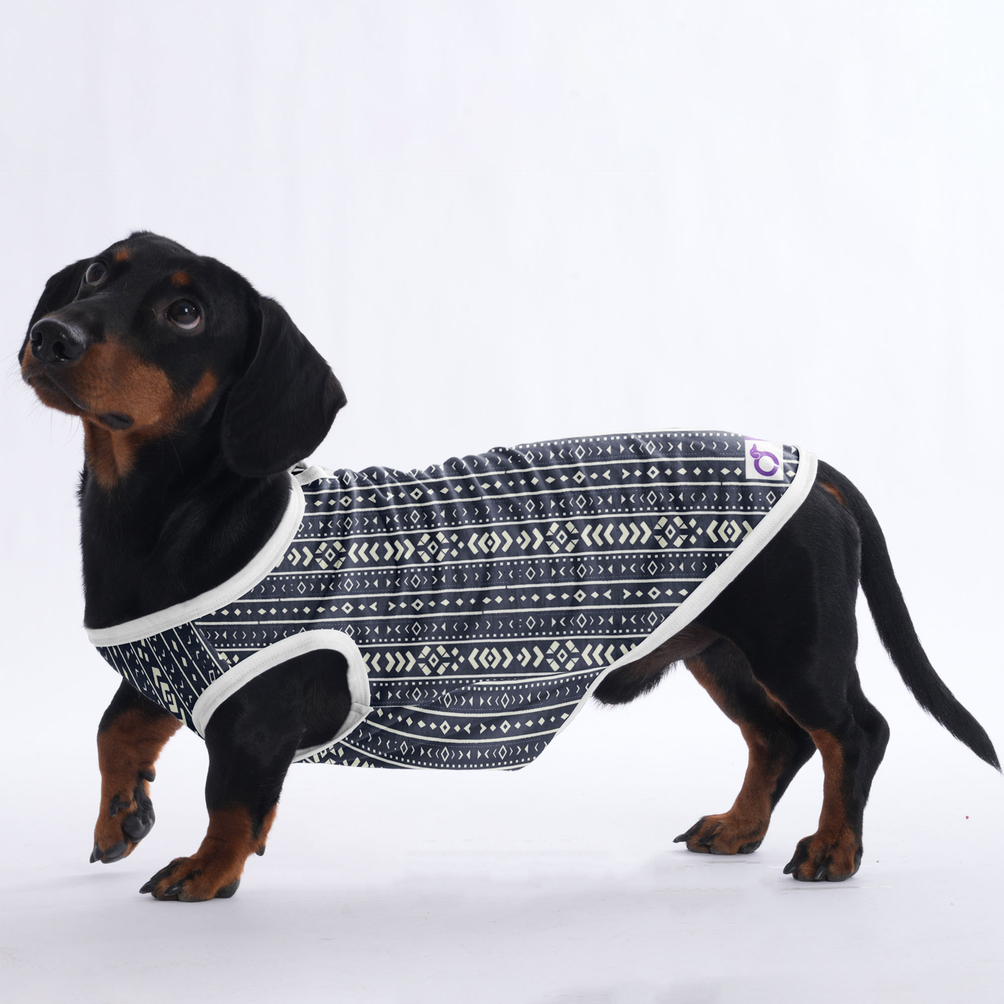 Ellie - Shirt for Dachshunds