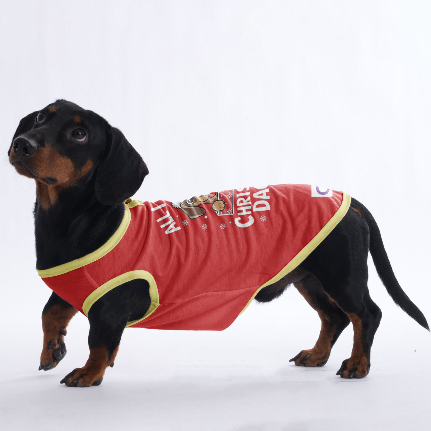 Daisy - Shirt for Dachshunds