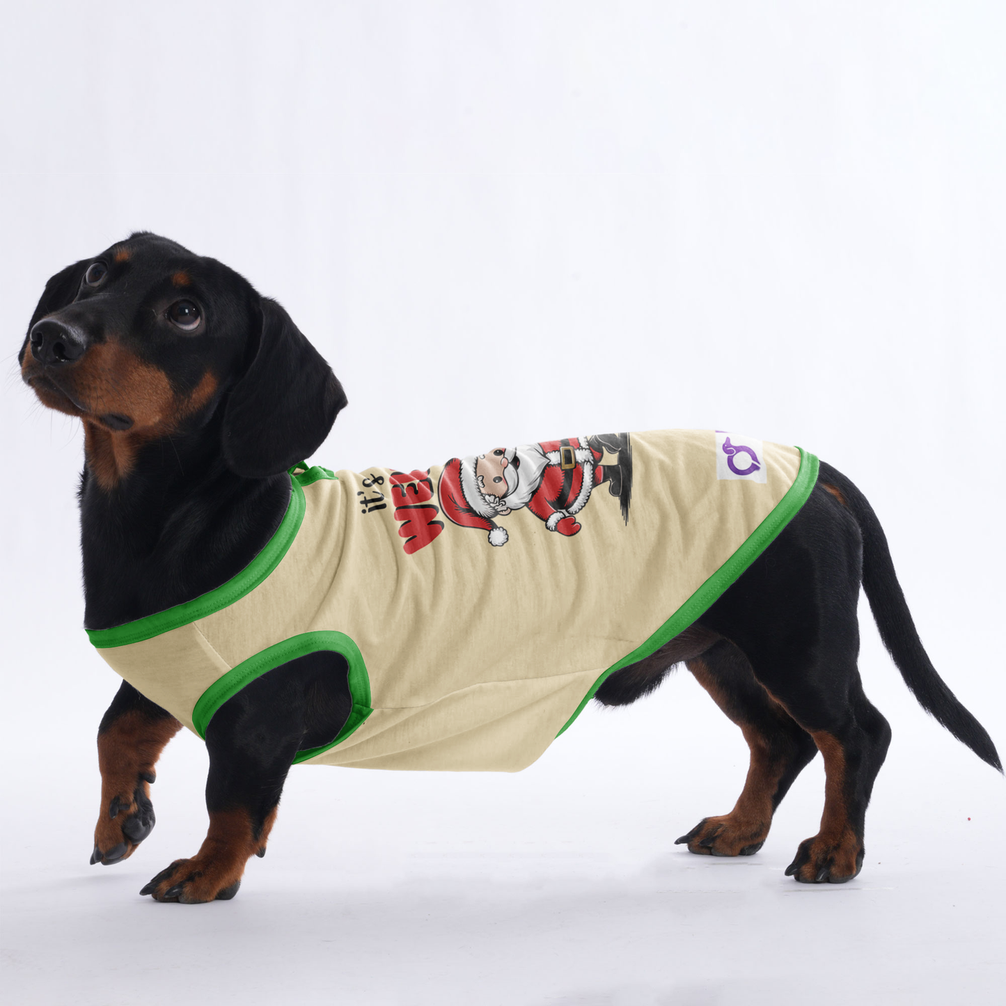 Charlie - Shirt for Dachshunds