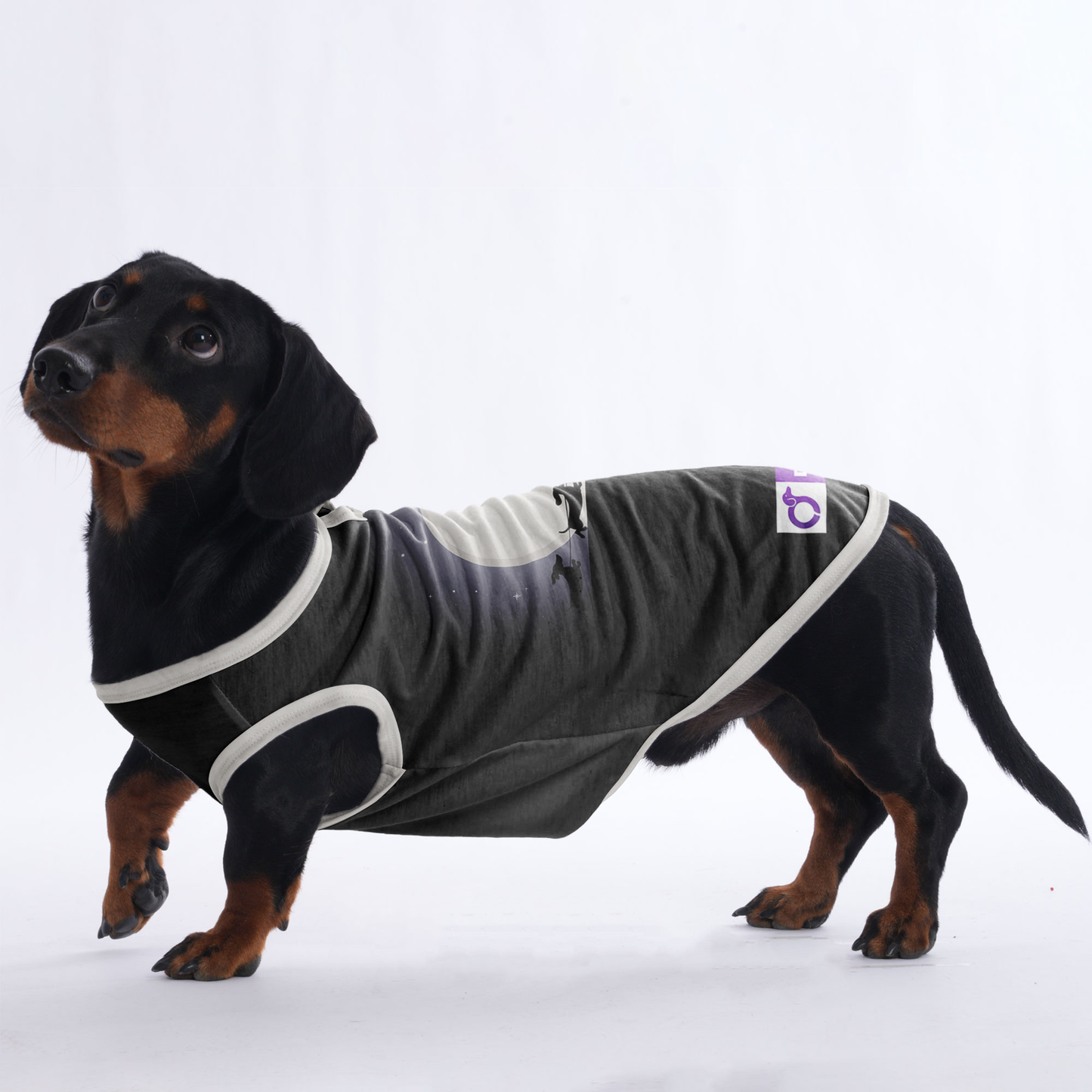 Abby - Shirt for Dachshunds