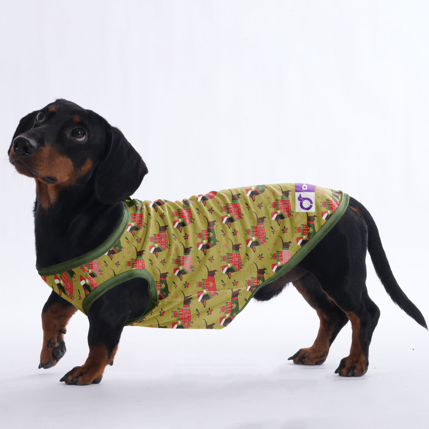 Lucy - Shirt for Dachshunds