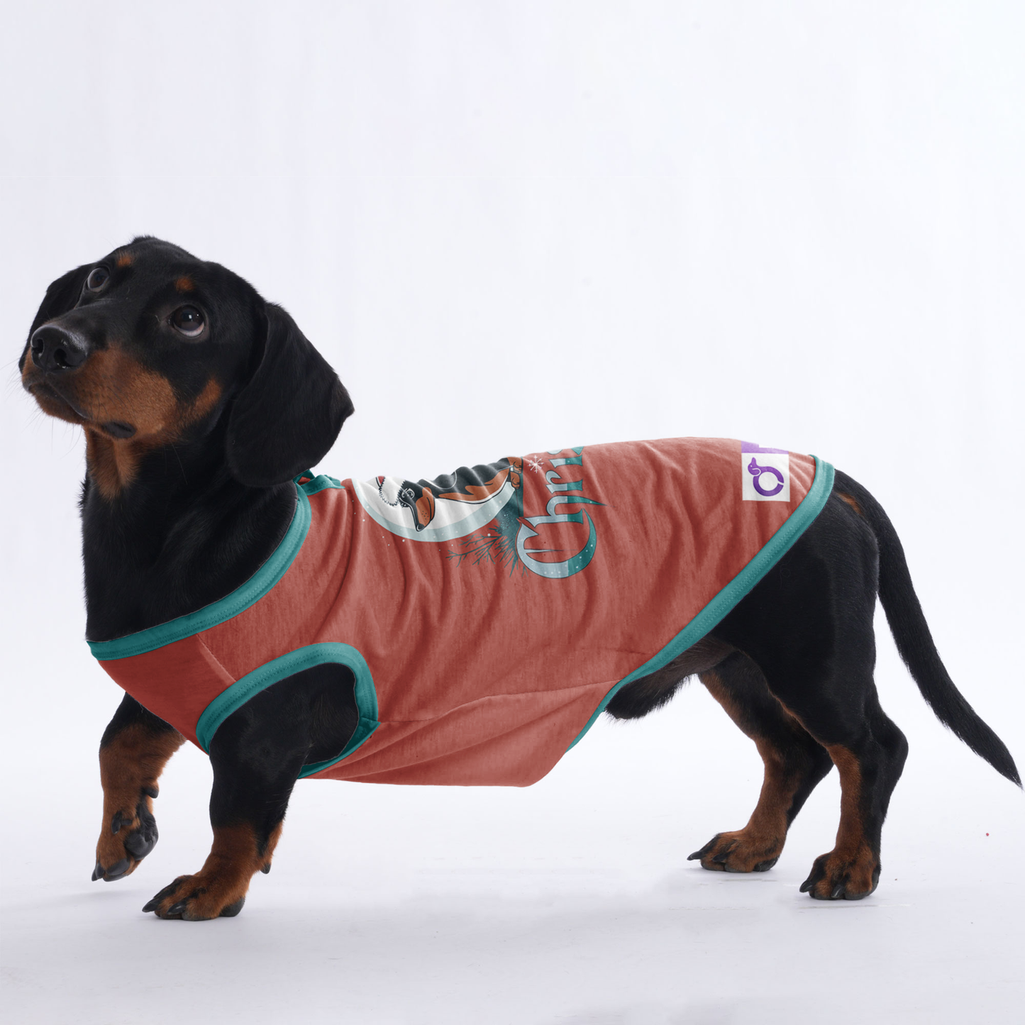 Milo - Shirt for Dachshunds