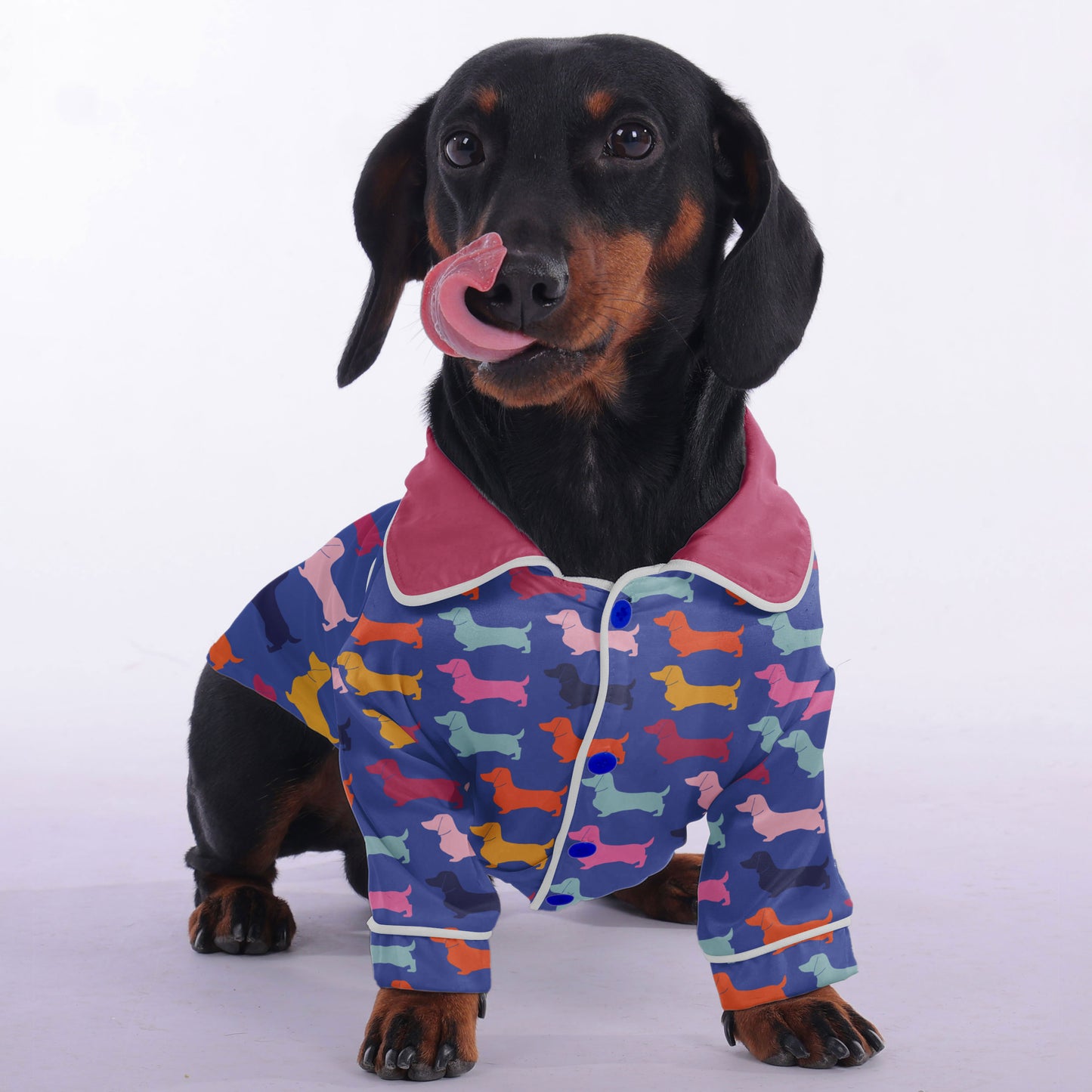 Pepper - Pajamas for Dachshund