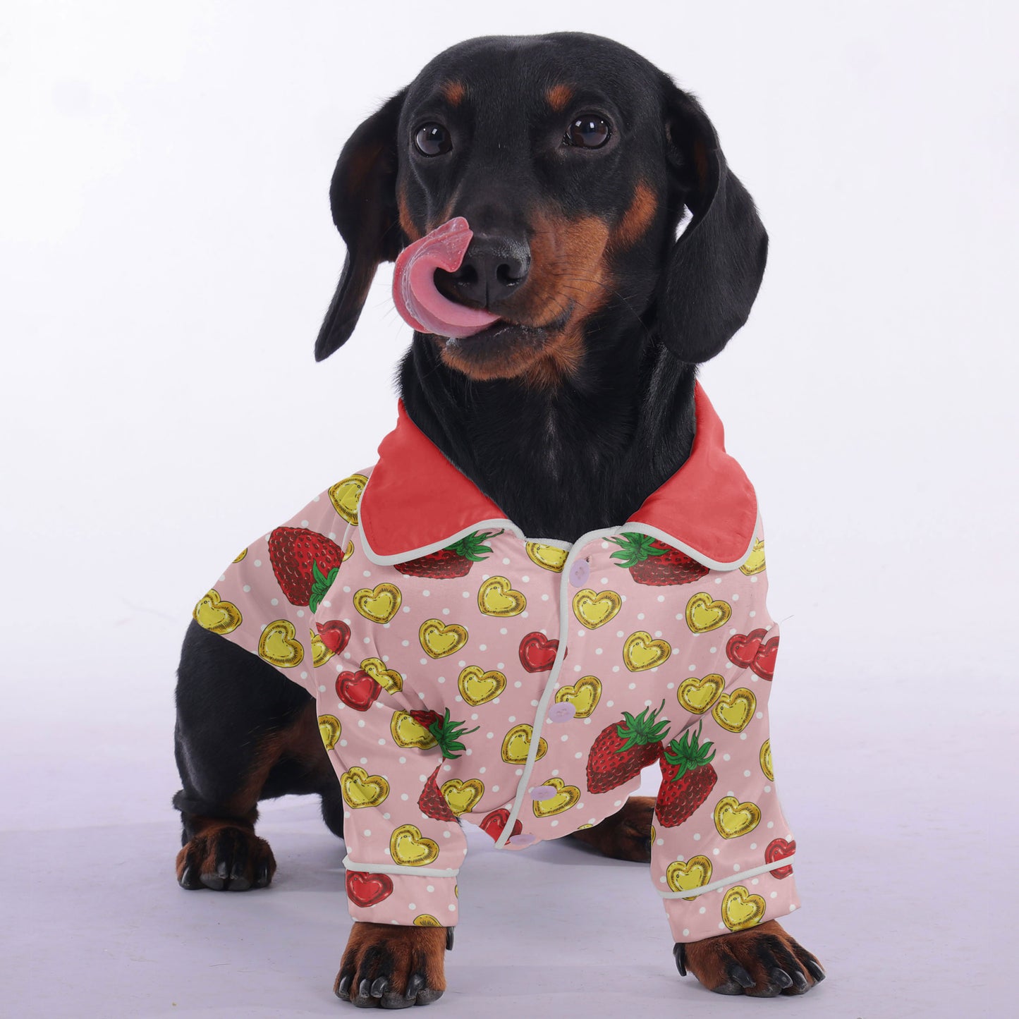 Richard - Pajamas for Dachshund