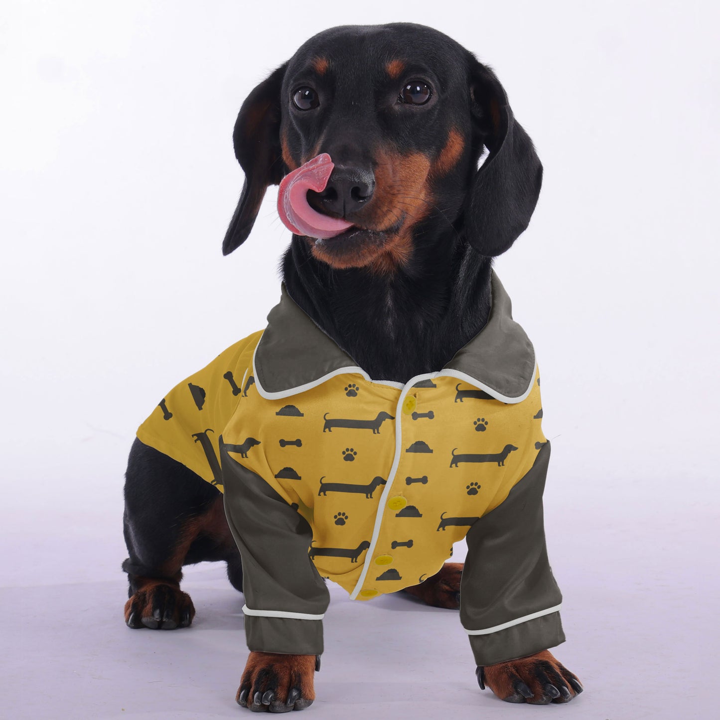 Milo - Pajamas for Dachshund