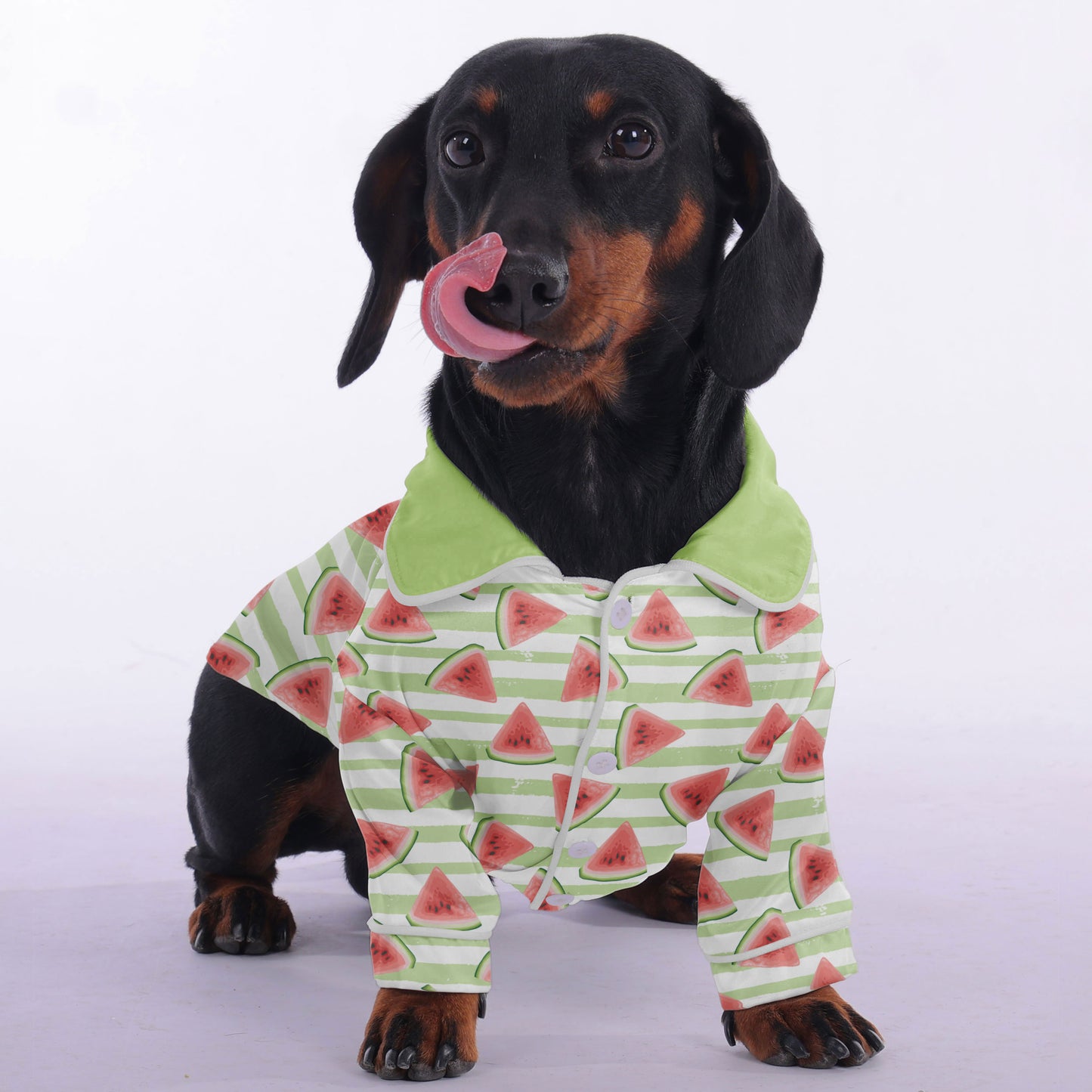 Cody - Pajamas for Dachshund