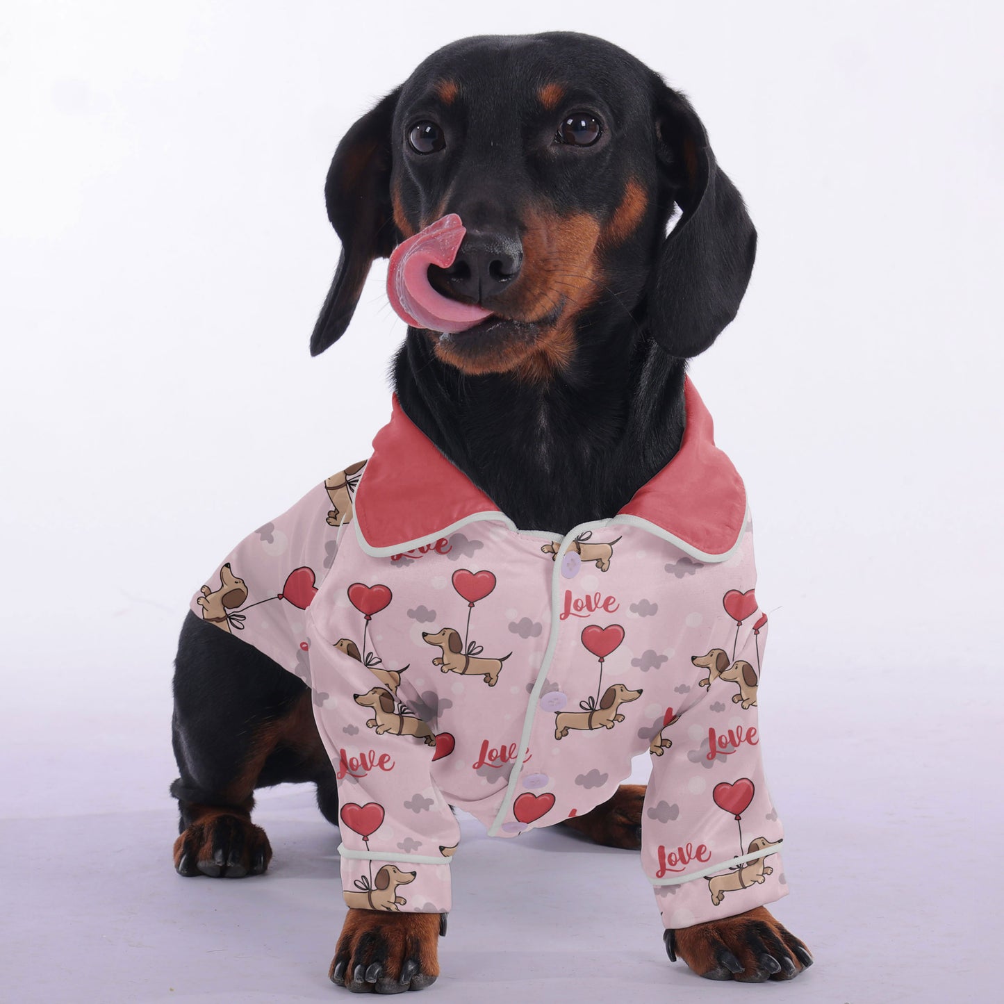 Pete - Pajamas for Dachshund