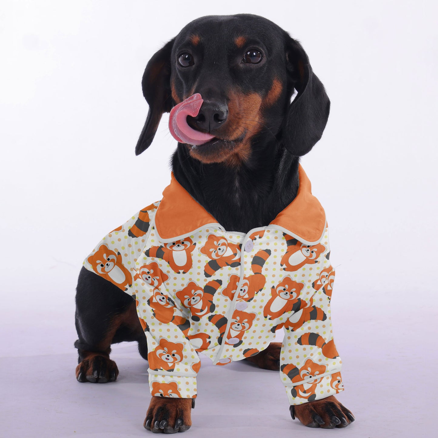 Kiki - Pajamas for Dachshund