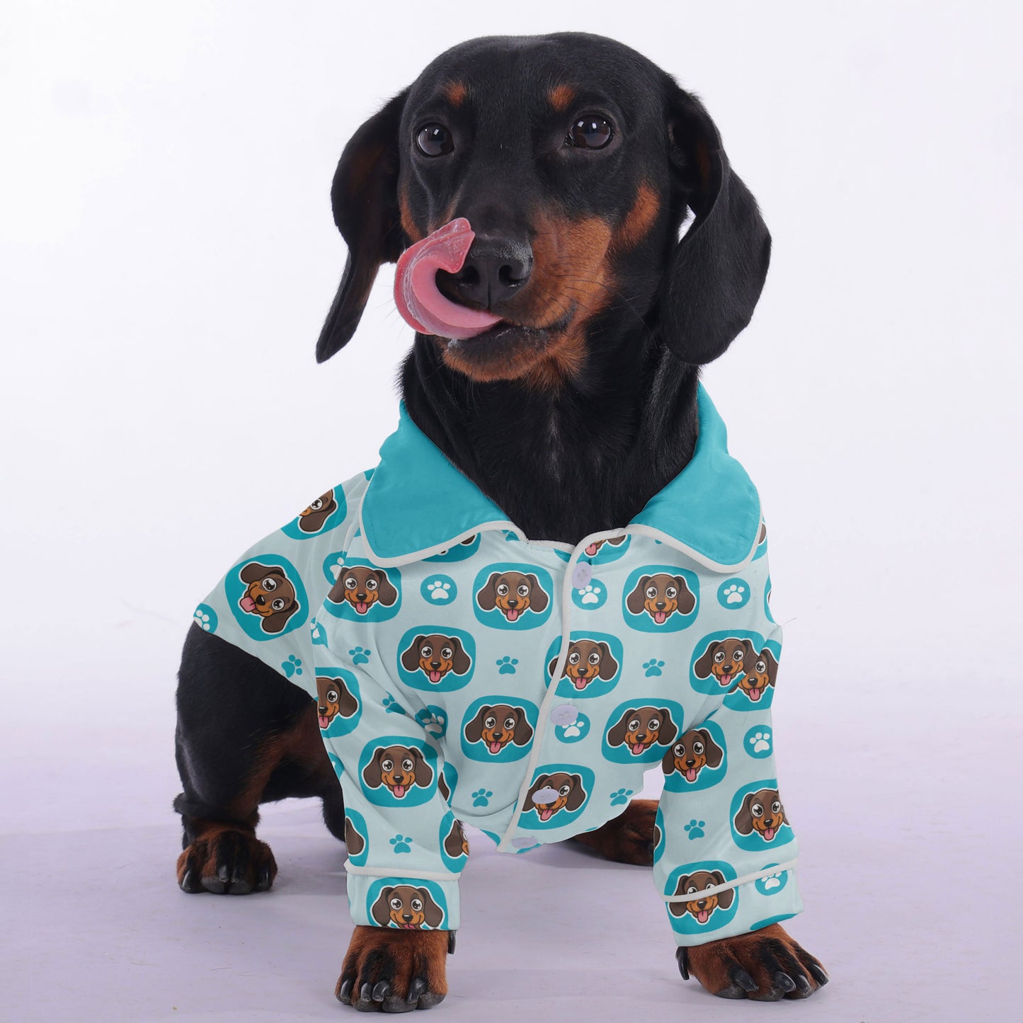 Martha - Pajamas for Dachshund