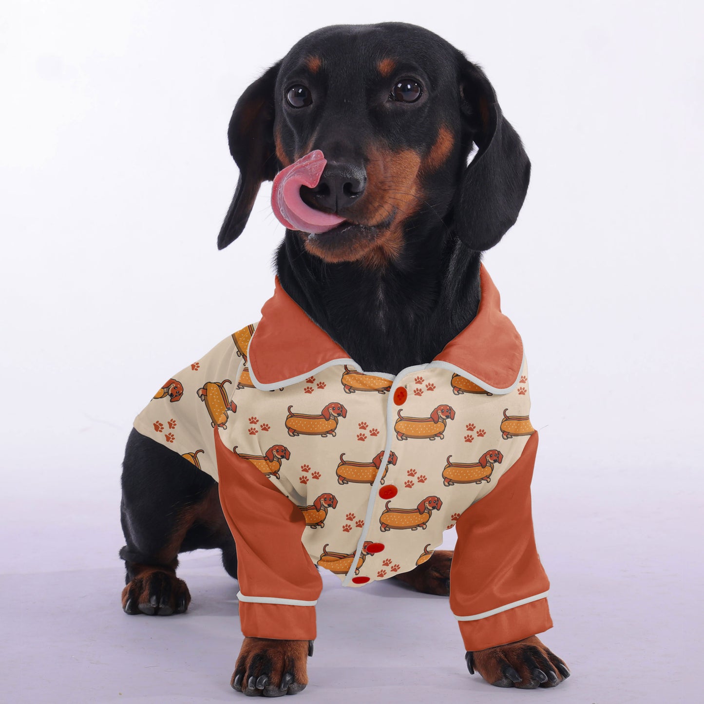 Pumpkin - Pajamas for Dachshund