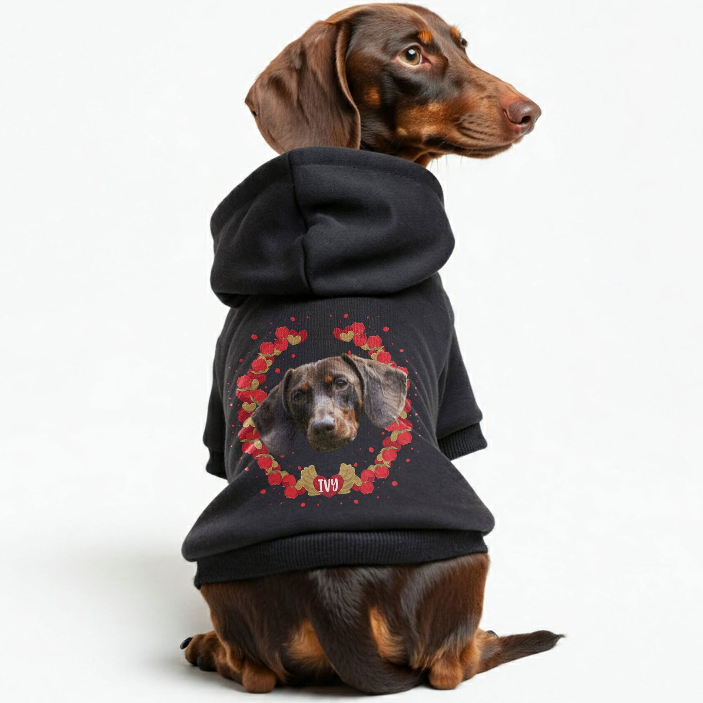 Hearts – Personalized Dachshund Hoodies with Your Doxie’s Name & Photo – Stylish, Cozy & Made from Premium 100% Cotton