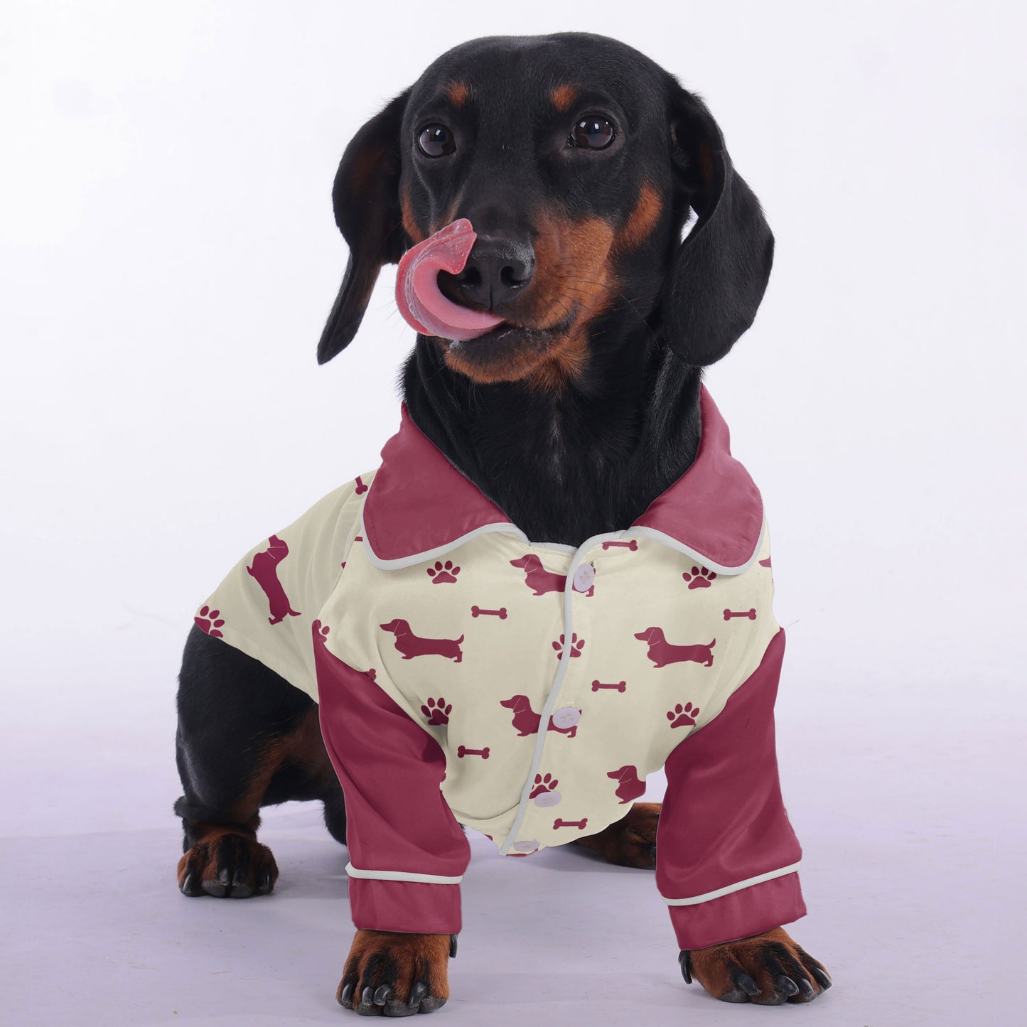 Winston - Pajamas for Dachshund