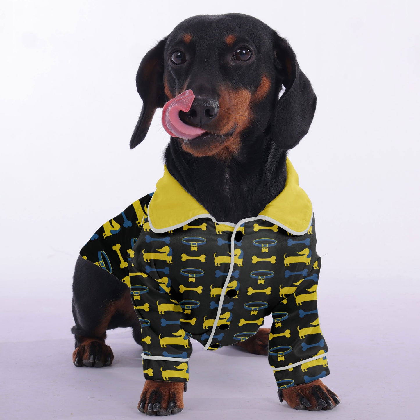 Moritz - Pajamas for Dachshund