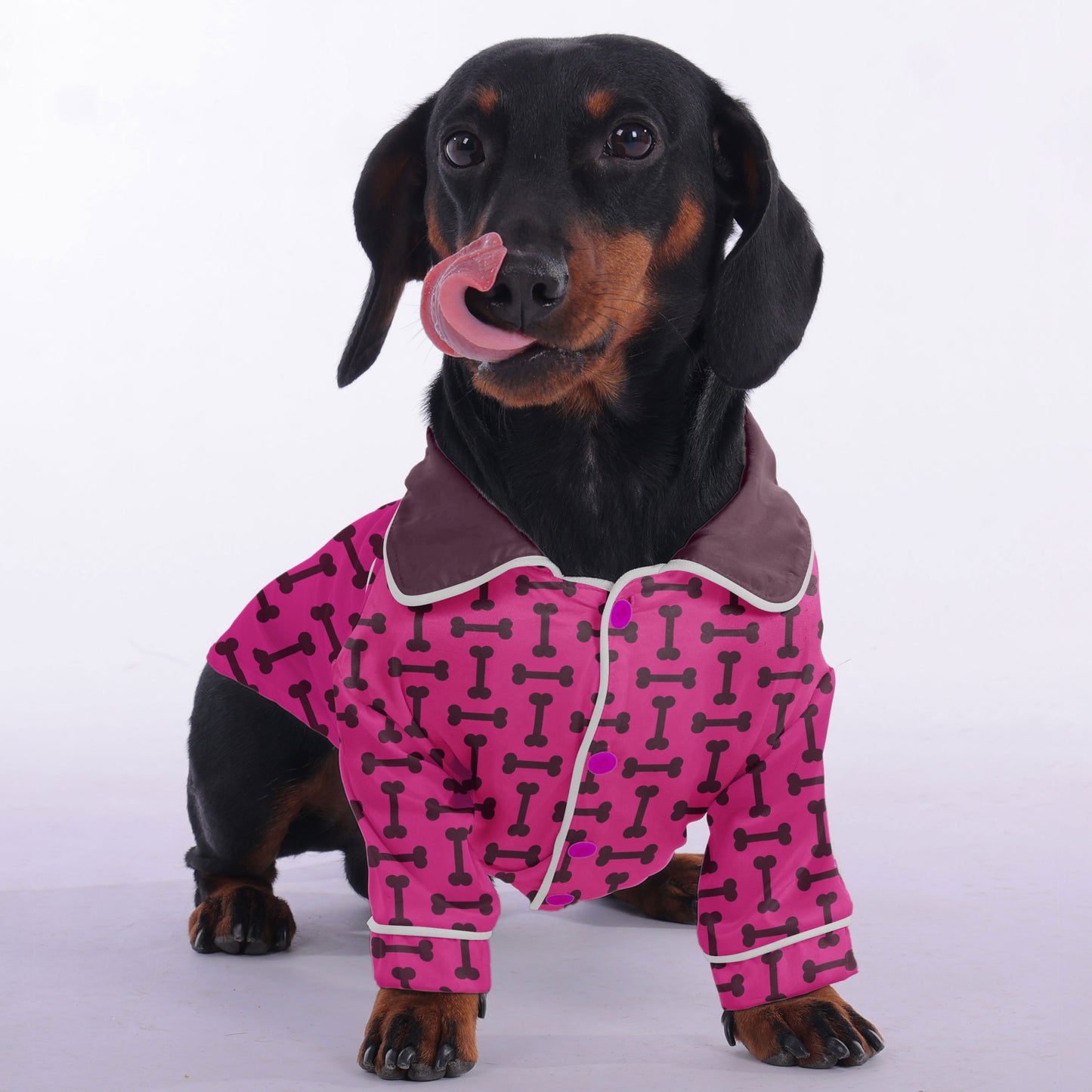 Gilbert - Pajamas for Dachshund