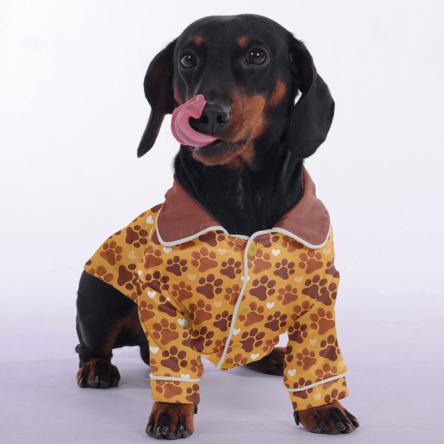 Dexter - Pajamas for Dachshund