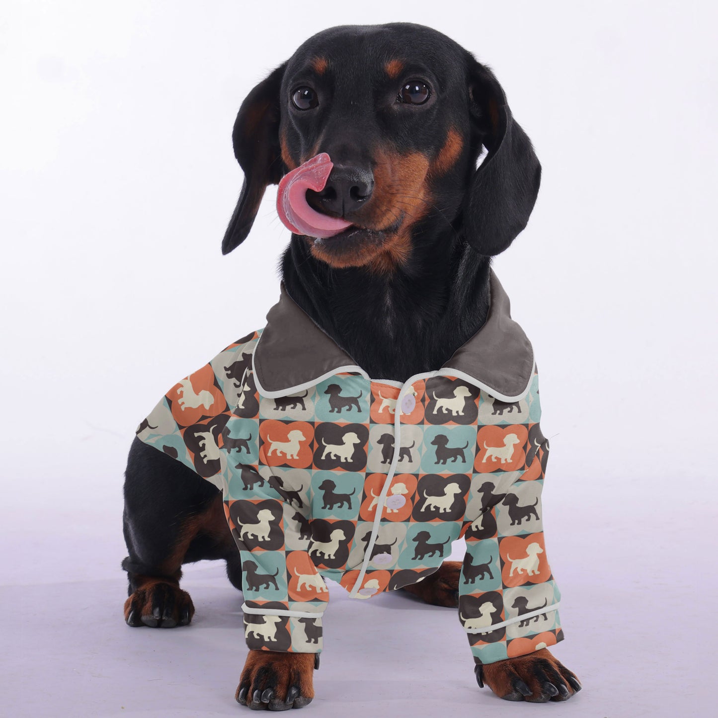 Salsi - Pajamas for Dachshund