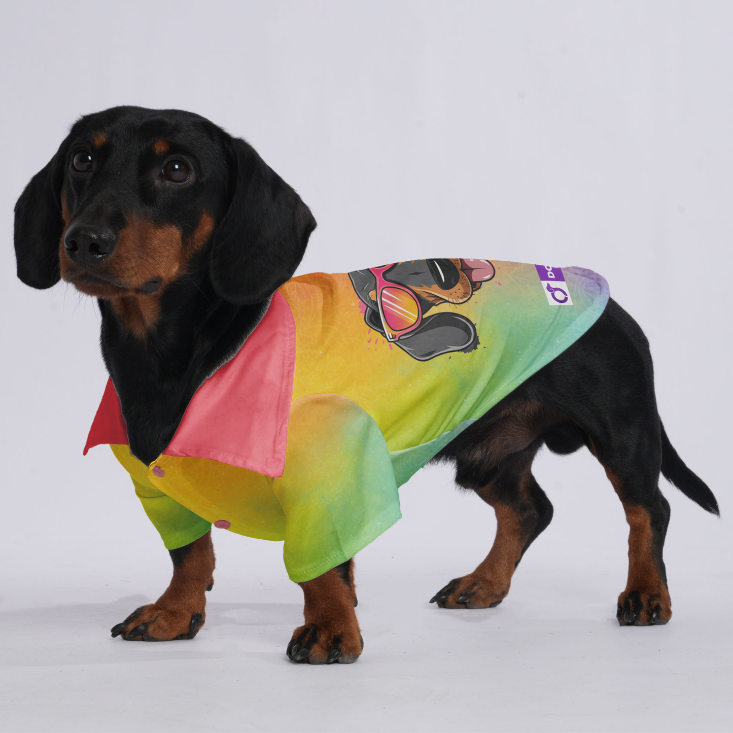 SNOOPY - Hawaiian Shirt for Doxies