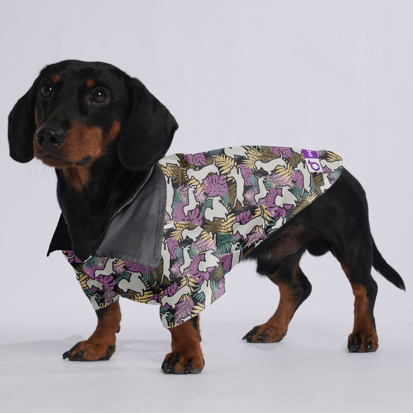max - Hawaiian Shirt for Doxies