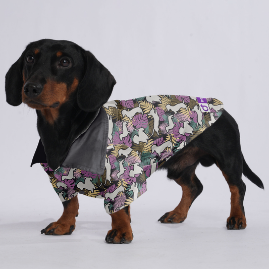 max - Hawaiian Shirt for Doxies