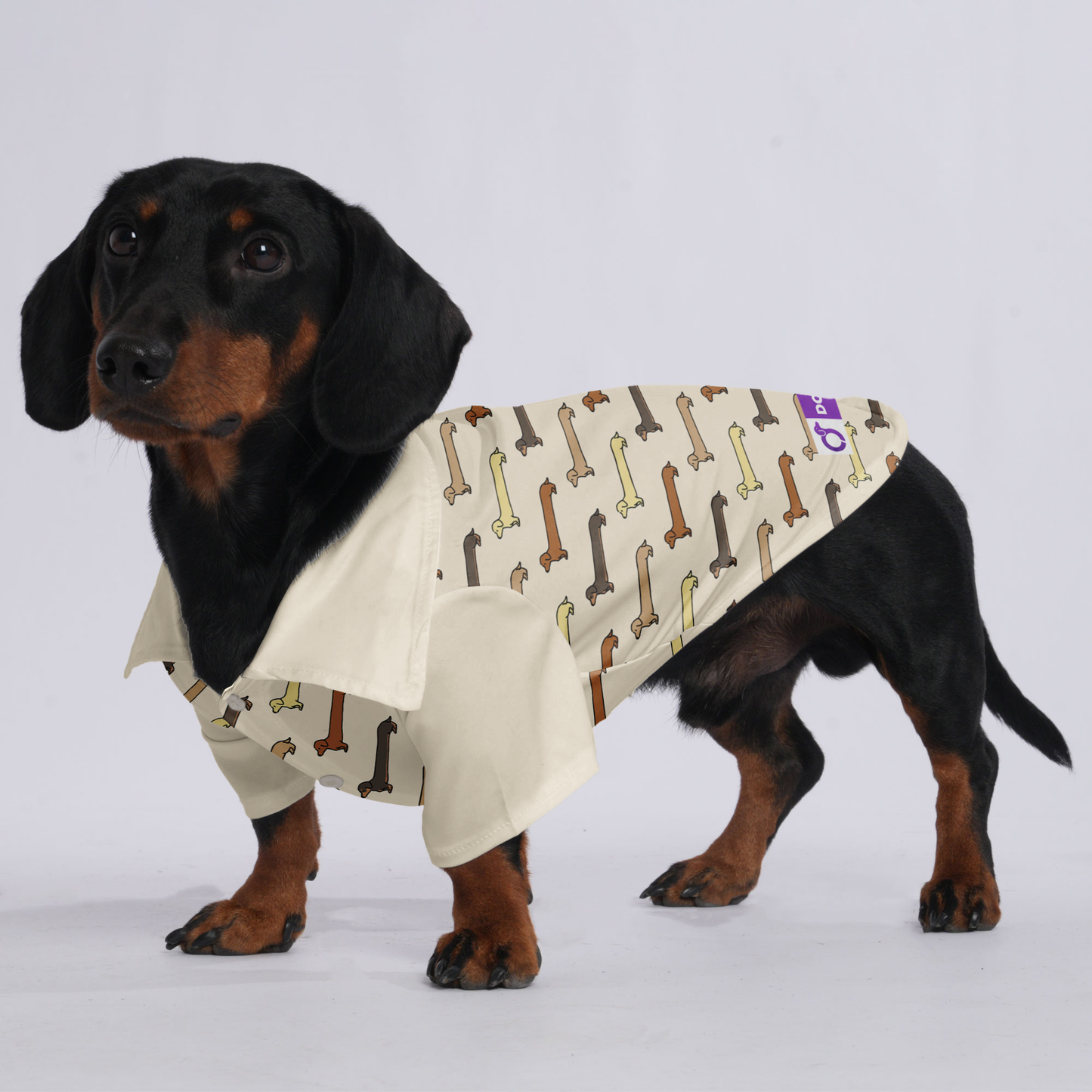 Pepper - Hawaiian Shirt for Doxies