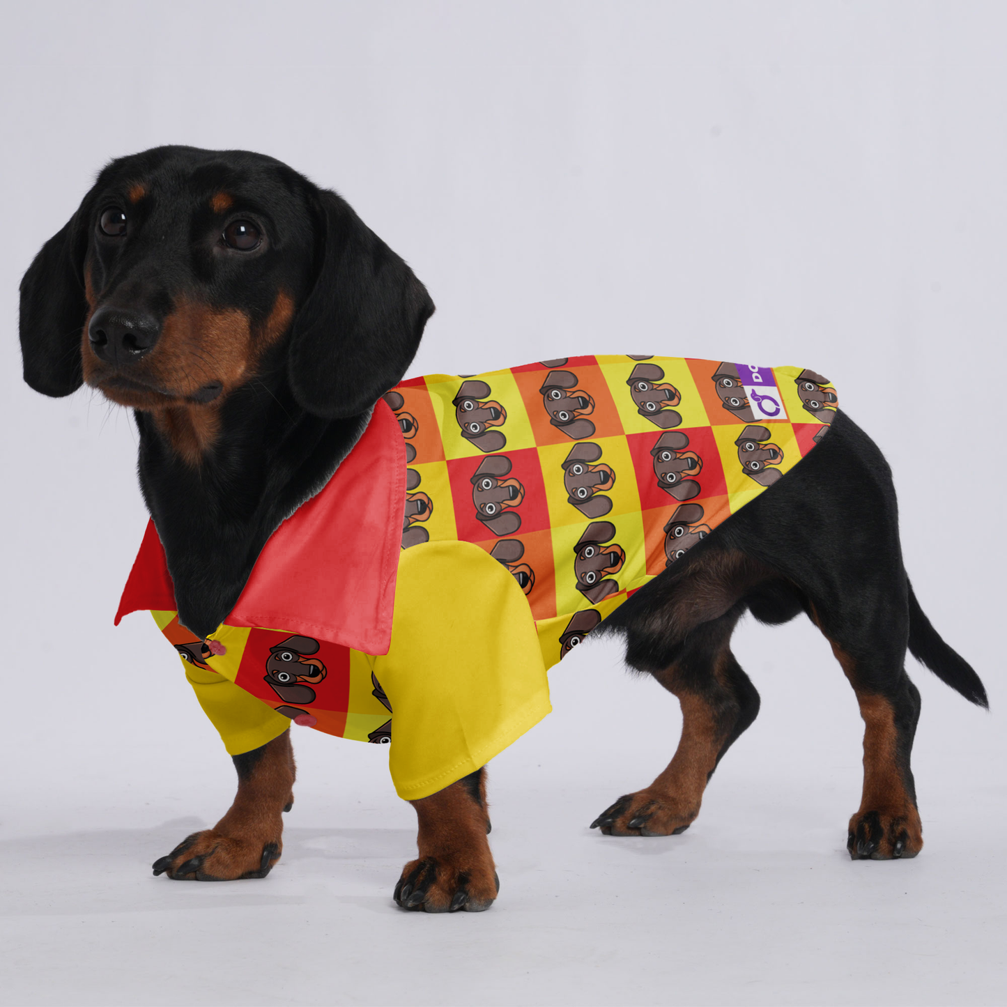 Elton- Hawaiian Shirt for Doxies