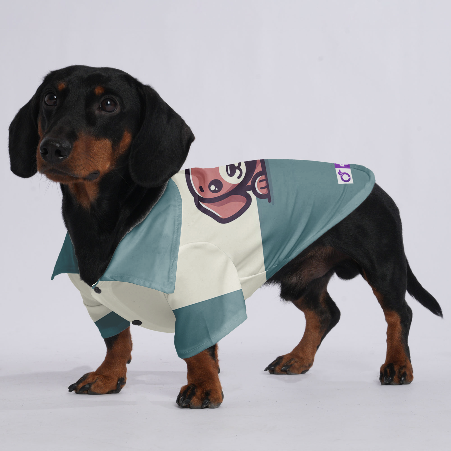 Sadie - Hawaiian Shirt for Doxies