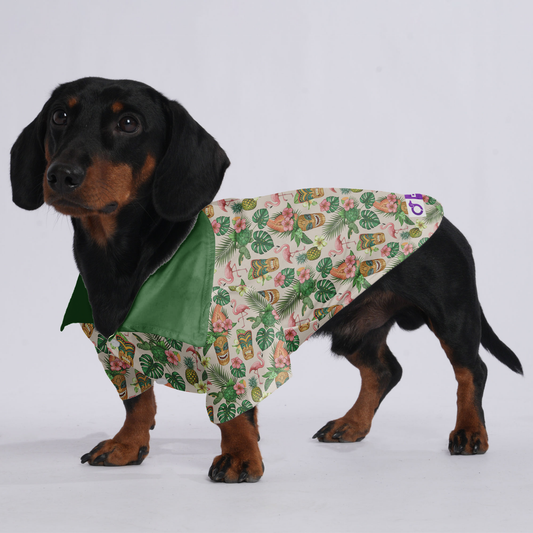 Oliver - Hawaiian Shirt for Doxies