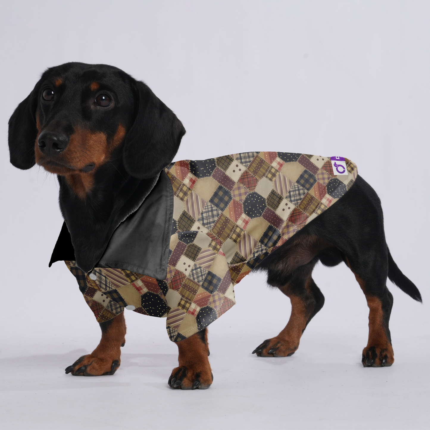 Rosie - Hawaiian Shirt for Doxies