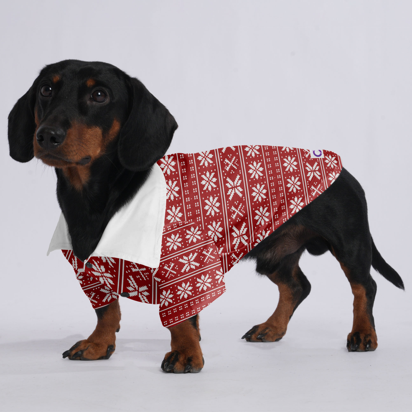 Max - Hawaiian Shirt for Doxies