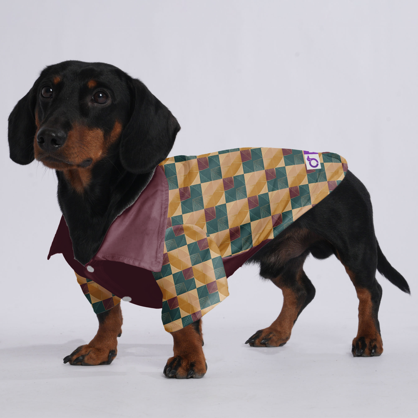 Gracie - Hawaiian Shirt for Doxies