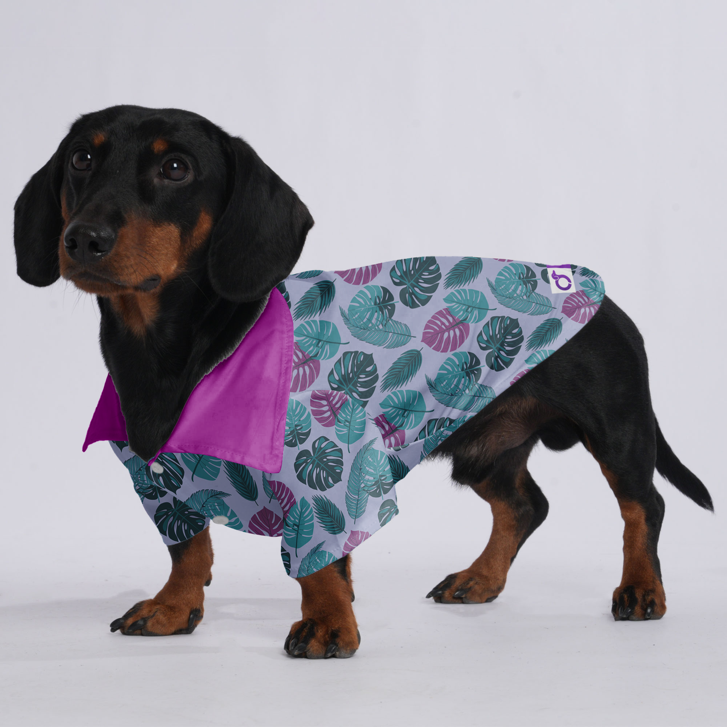 Duke - Hawaiian Shirt for Doxies