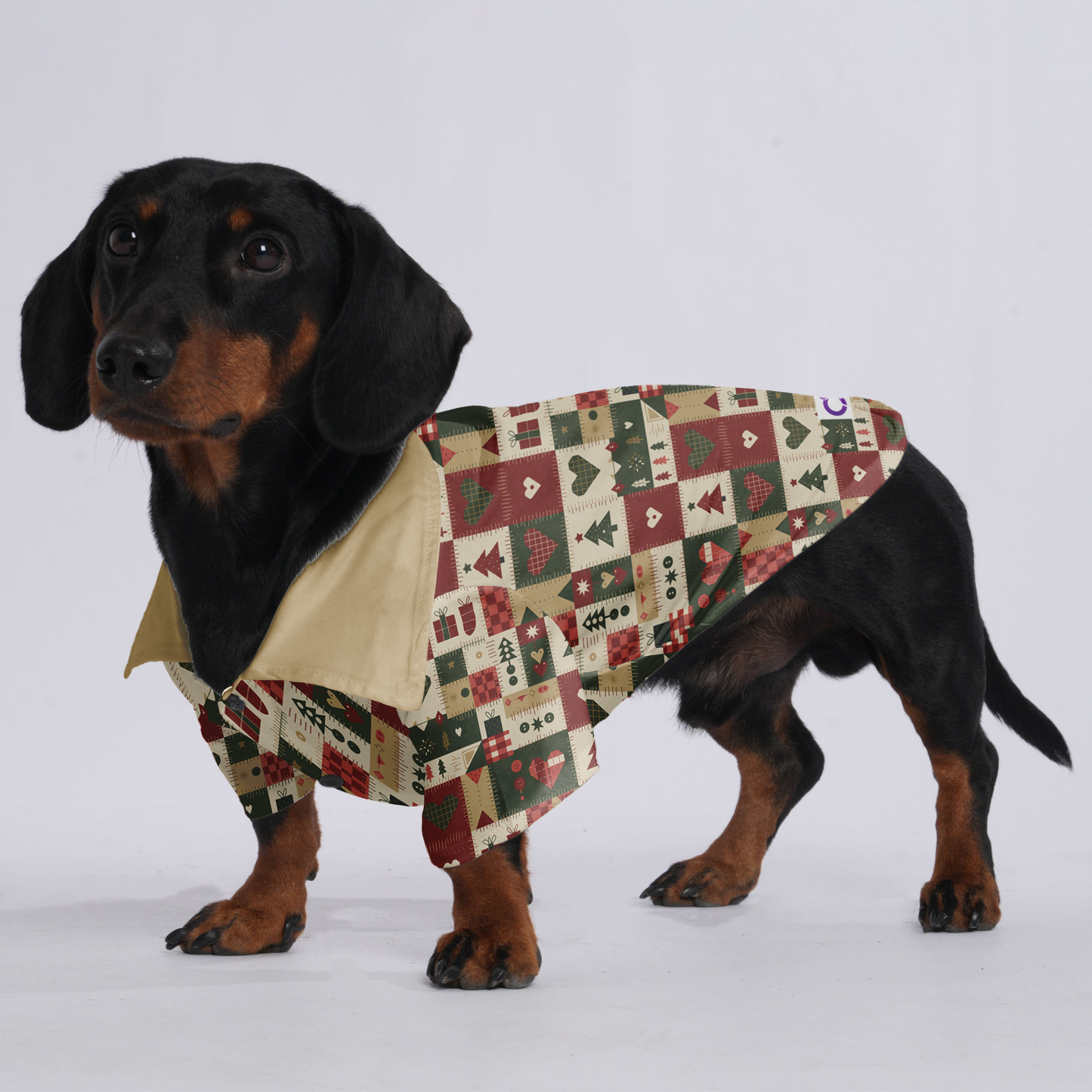 Daisy - Hawaiian Shirt for Doxies