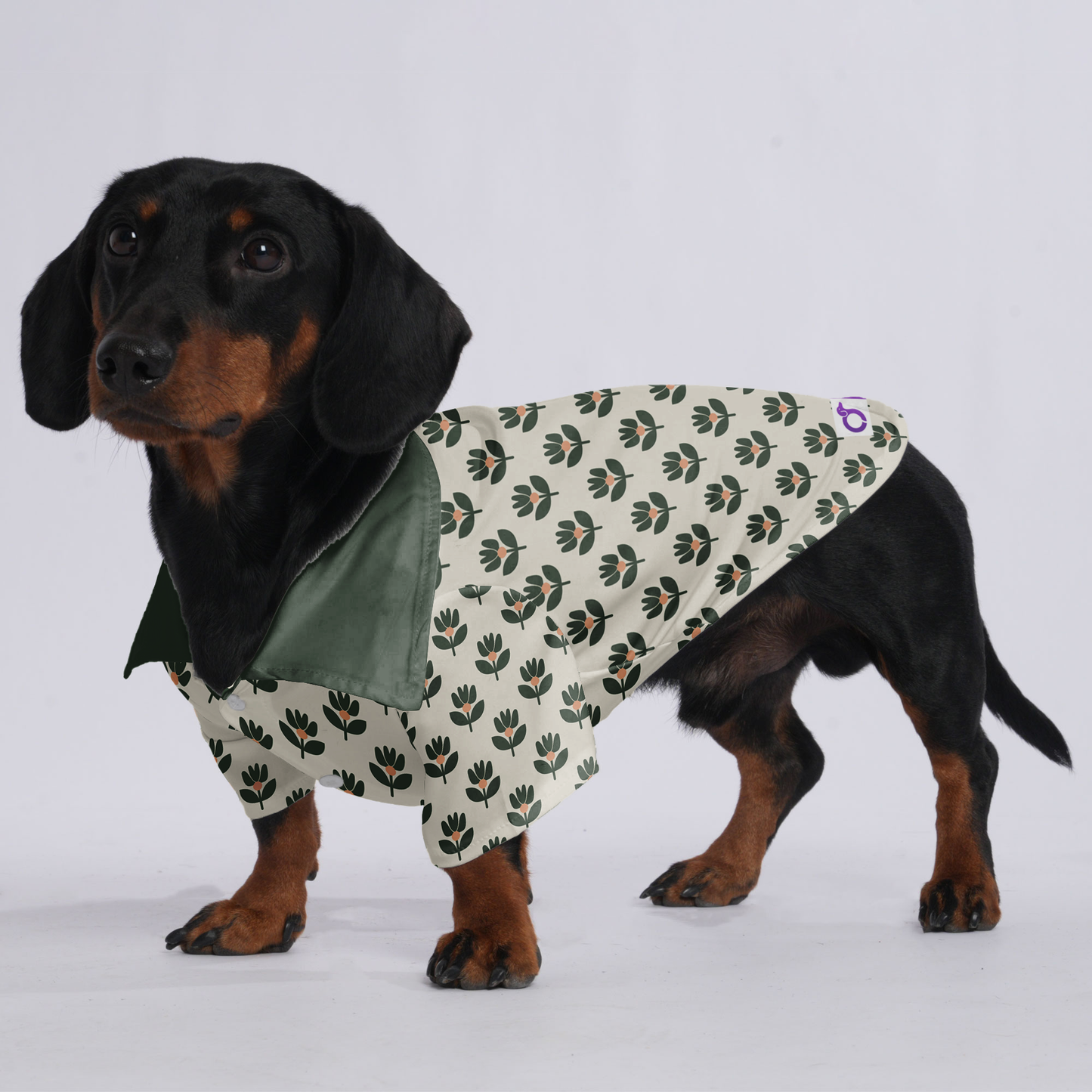Penny - Hawaiian Shirt for Doxies