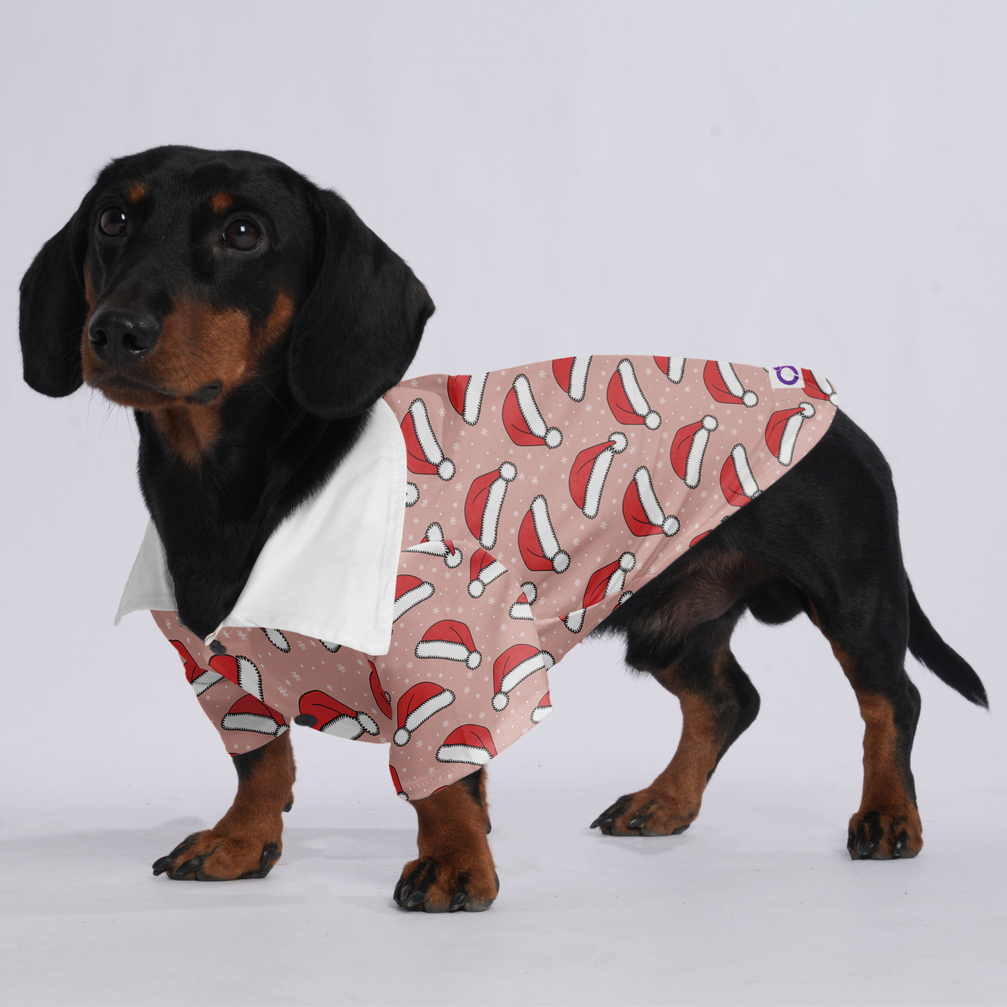 Lucy - Hawaiian Shirt for Doxies