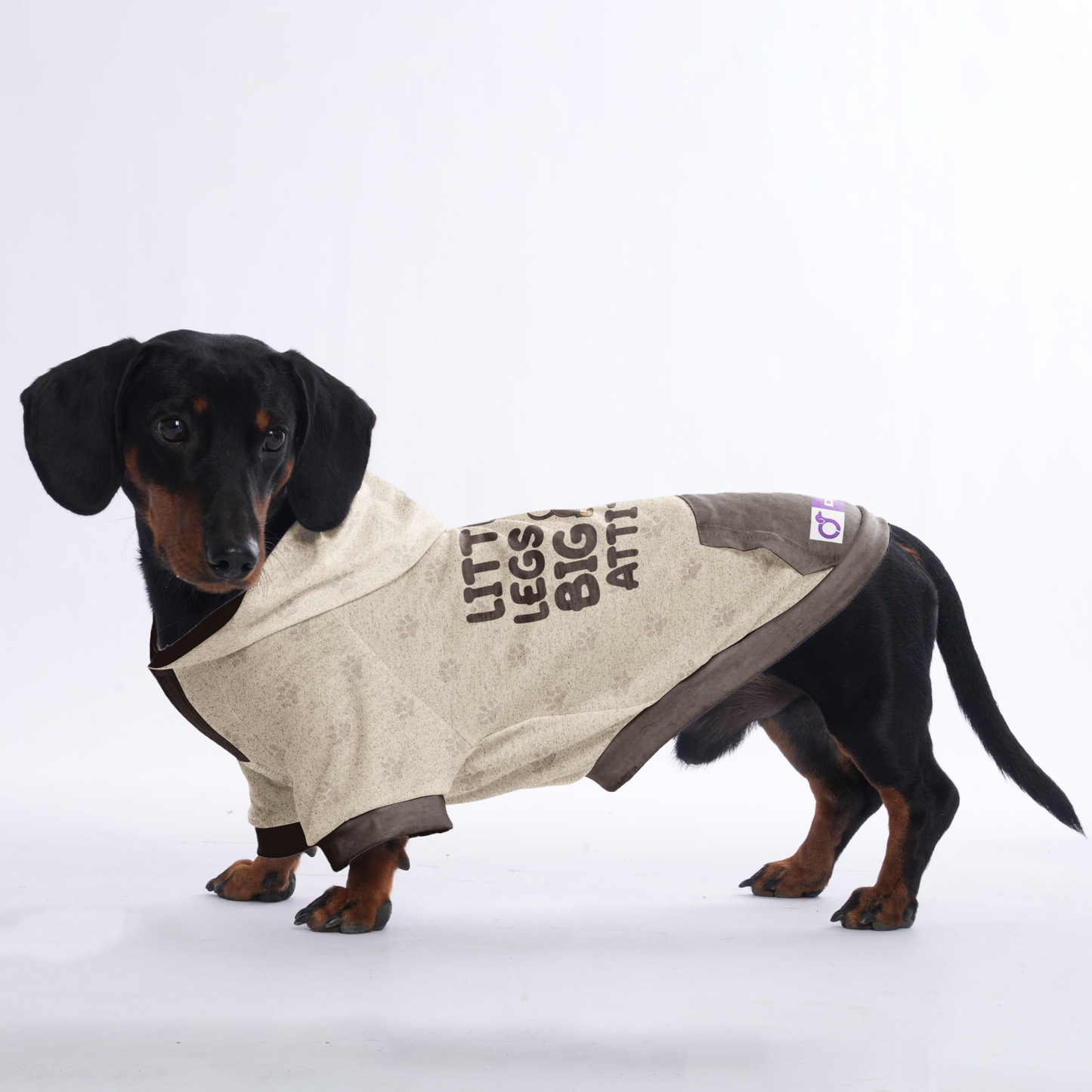 LITTLE LEGS, BIG ATTITUDE - Hoodies for Dachshunds