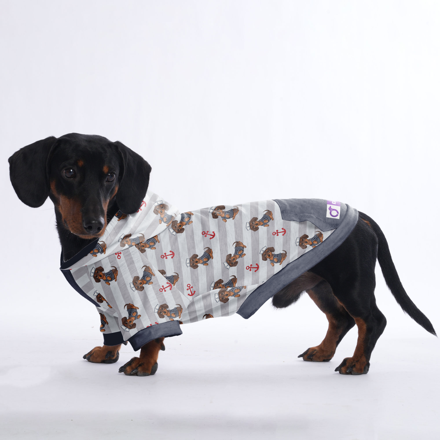 Ludwig - Hoodies for Dachshunds