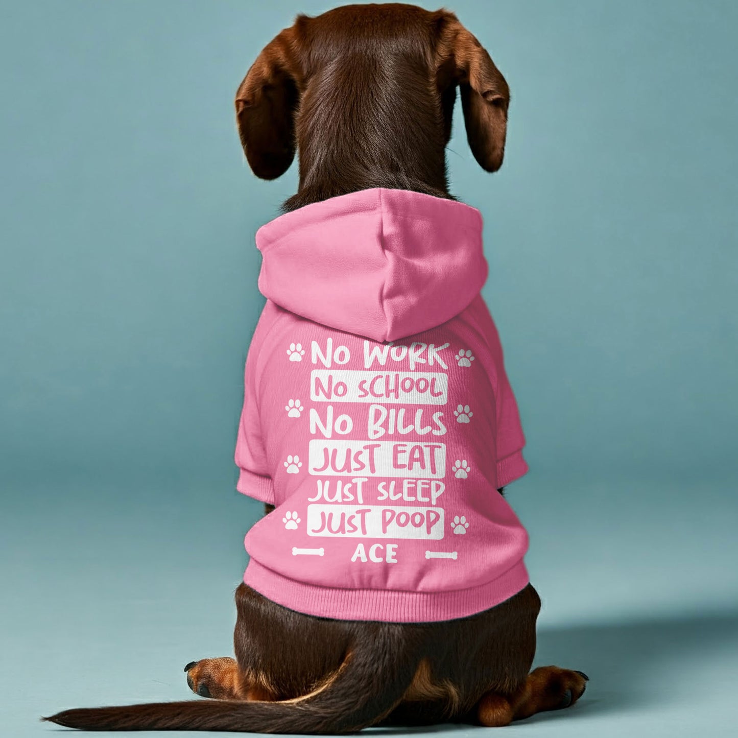 No school - Personalized Dachshund Hoodies with your doxie name – Stylish, Cozy, and Premium 100% Cotton