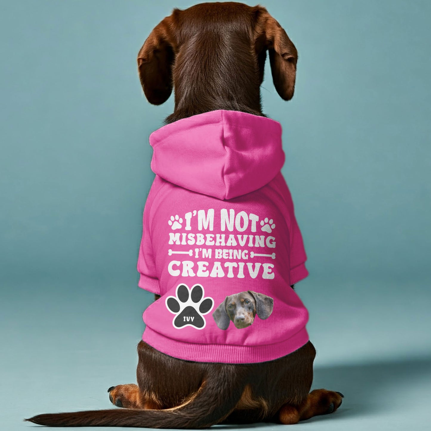 I’m not misbehaving – Personalized Dachshund Hoodies with Your Doxie’s Name & Photo – Stylish, Cozy & Made from Premium 100% Cotton