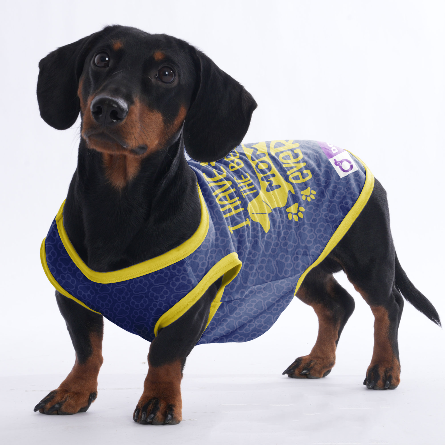 I have the best mom ever - Shirt for Dachshunds