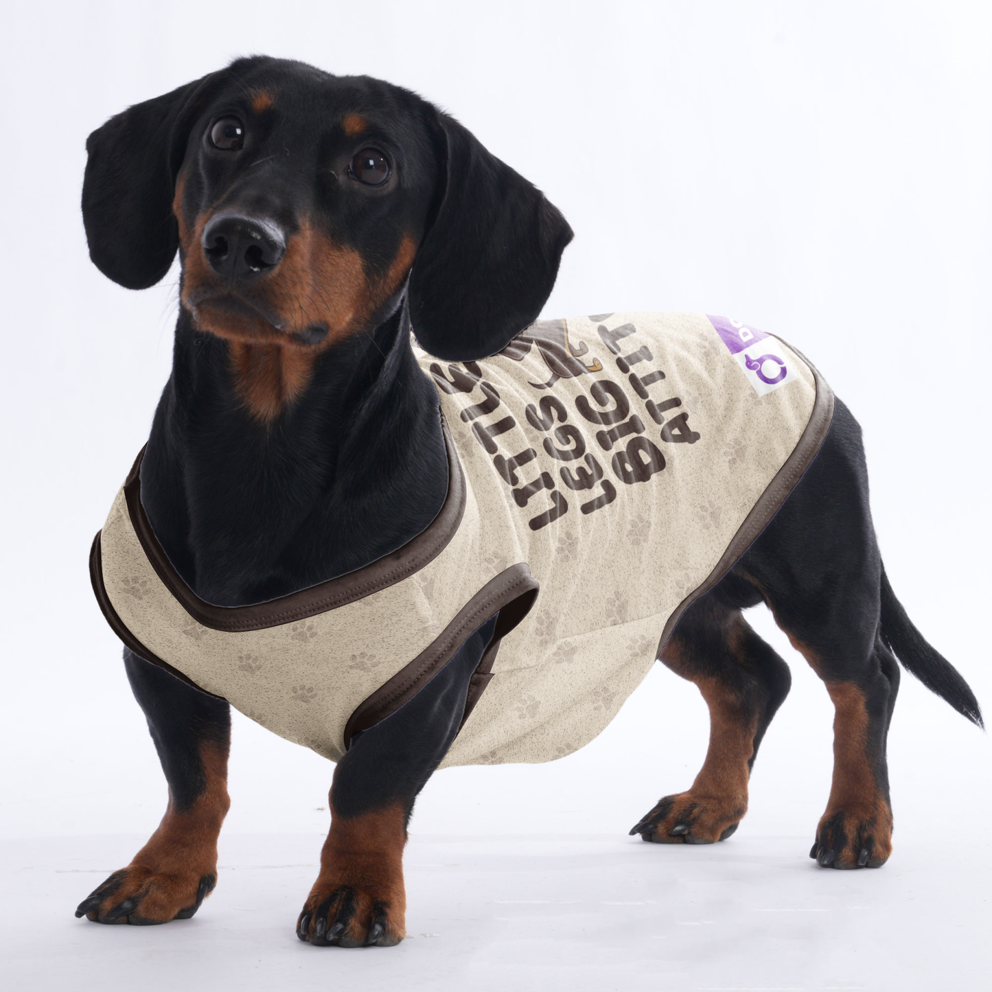 LITTLE LEGS BIG ATTITUDE - Shirt for Dachshunds