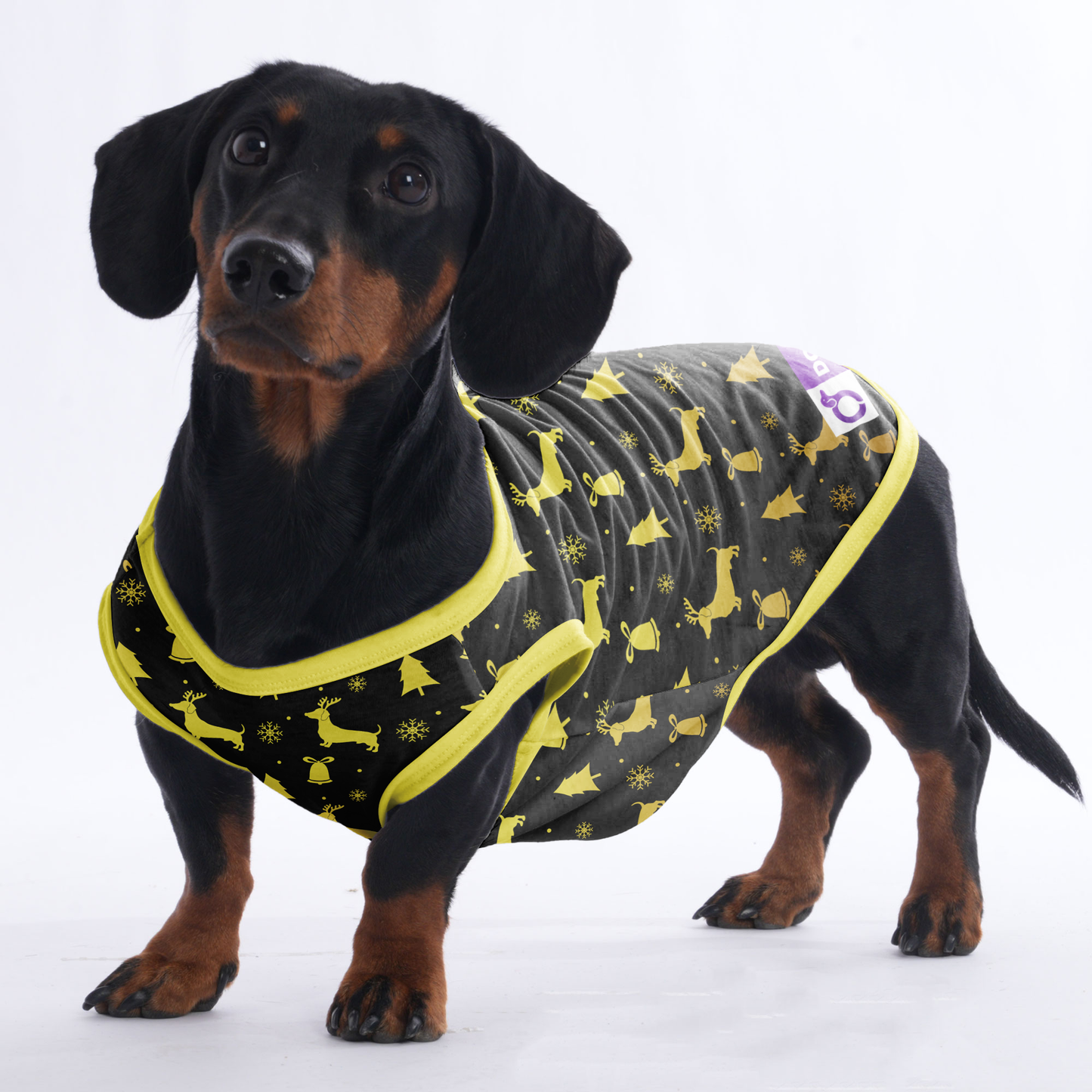 Travis - Shirt for Dachshunds