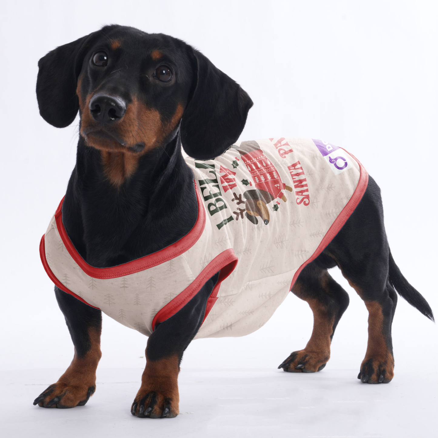 I belive in santa paws - Shirt for Dachshunds