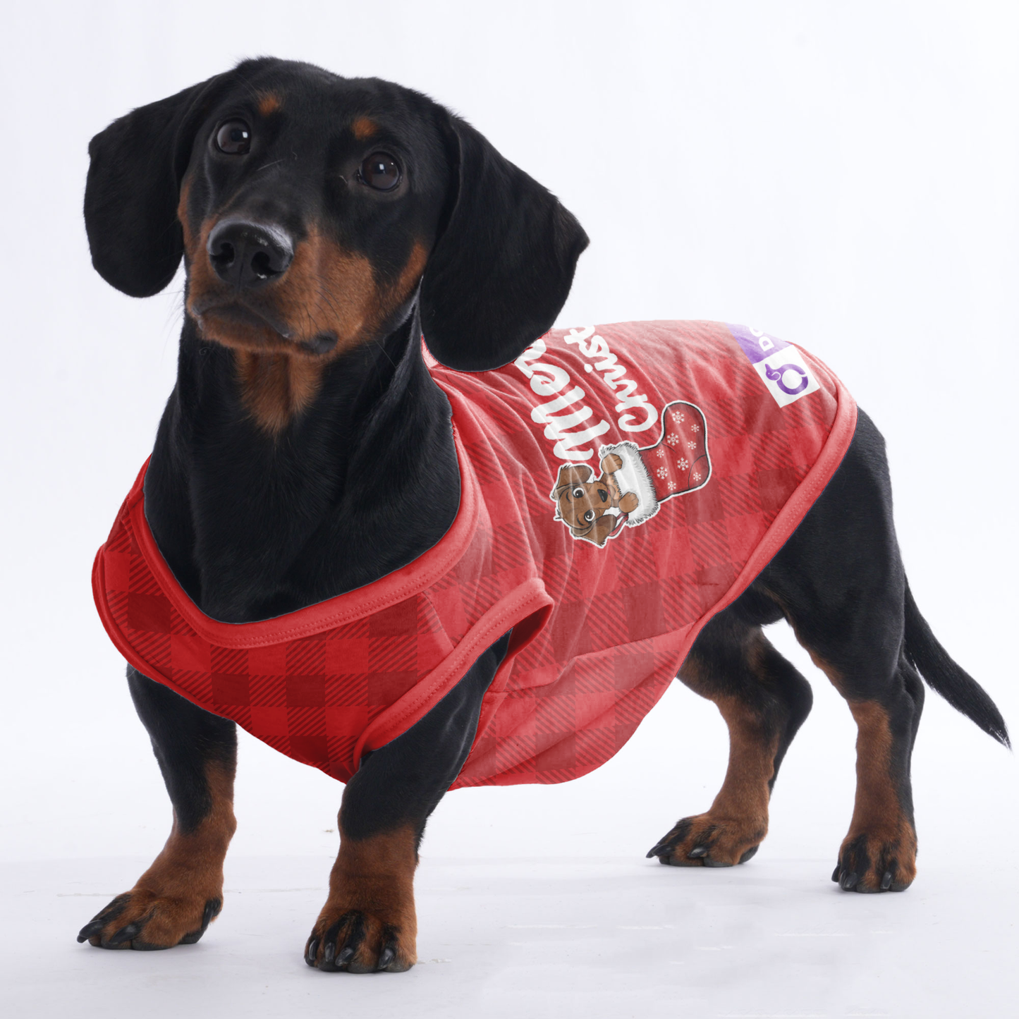 Merry Christmas - Shirt for Dachshunds