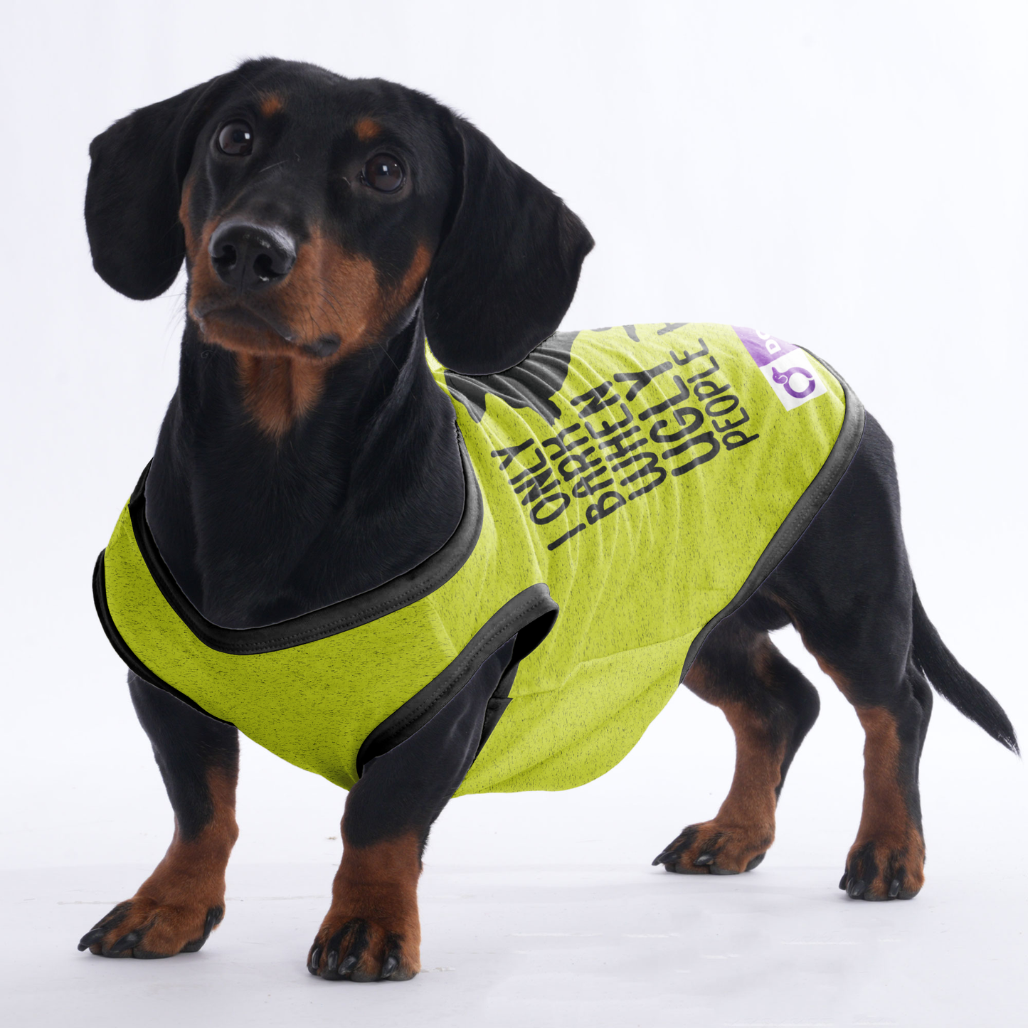 I ONLY BARK WHEN UGLY PEOPLE HOLD ME - Shirt for Dachshunds