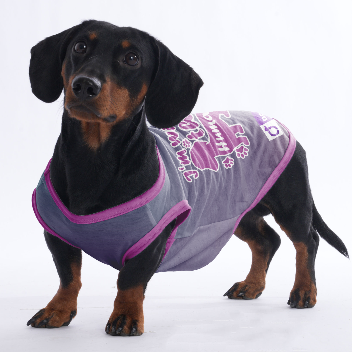 I'm with the human - Shirt for Dachshunds