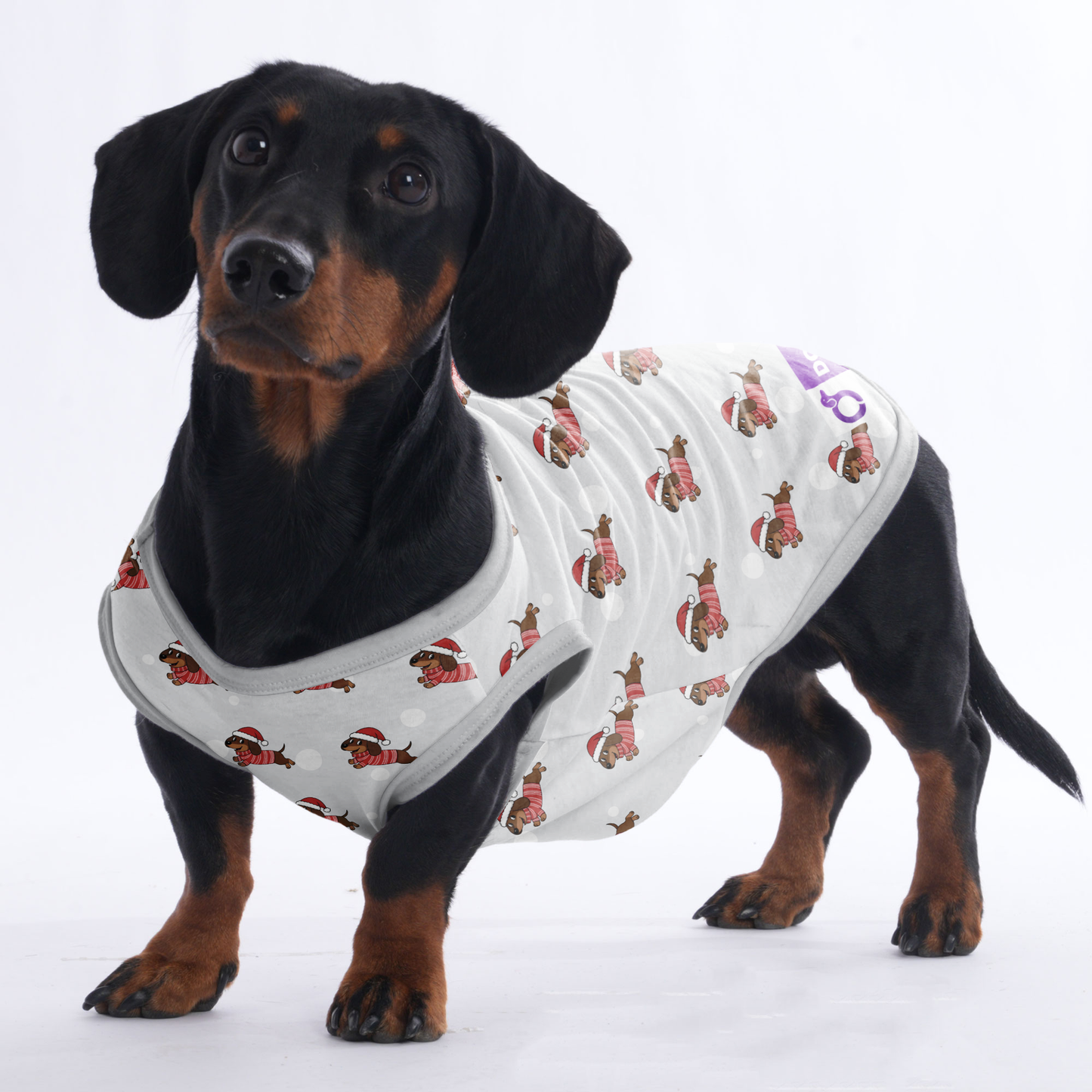 Mabel - Shirt for Dachshunds