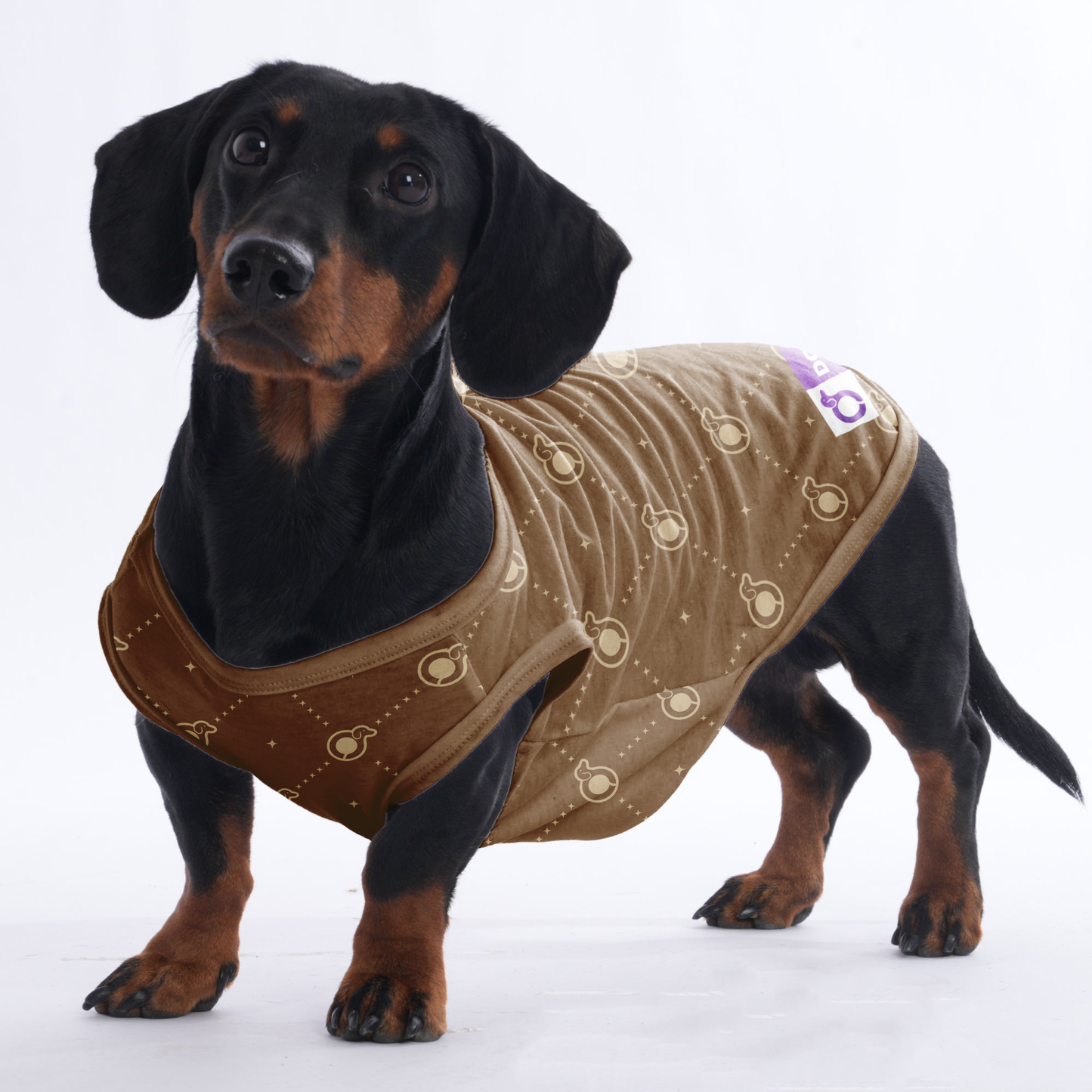 Harris - Shirt for Dachshunds