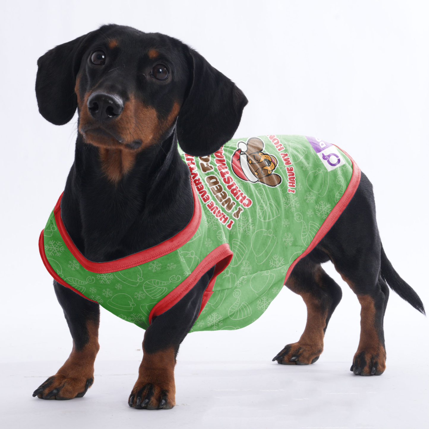 I HAVE EVERYTHING I NEED FOR CHRISTMAS, I HAVE MY HUMAN - Shirt for Dachshunds