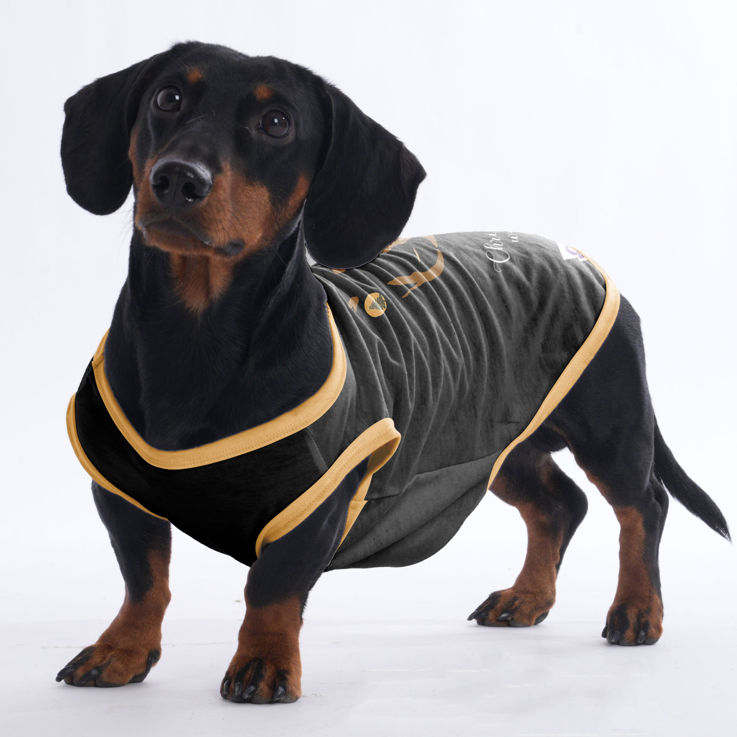 Bailey - Shirt for Dachshunds